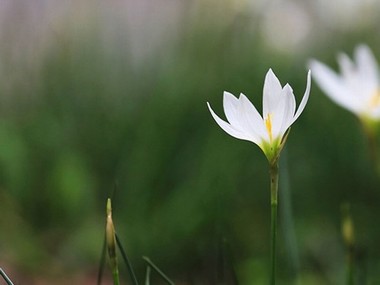 s戒三段在几分几秒