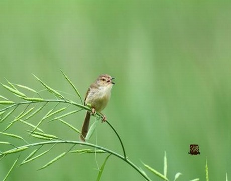 仙魔同修百度百科