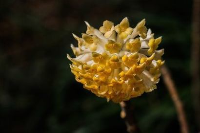 日本100部顶级推理片经典